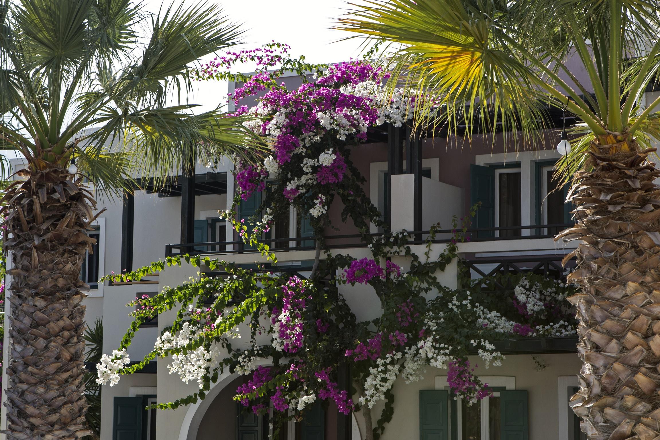 Rose Bay Hotel คามารี ภายนอก รูปภาพ