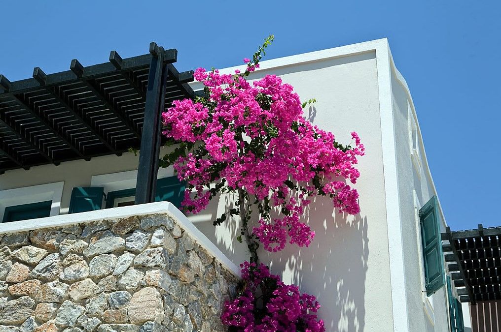 Rose Bay Hotel คามารี ภายนอก รูปภาพ